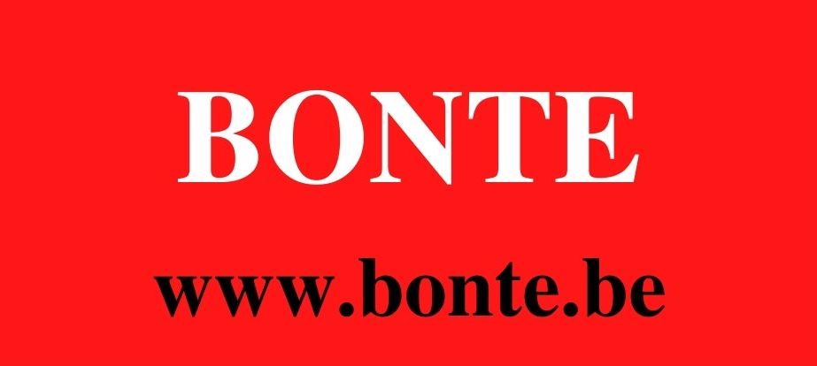 Bonte (strips, heemkunde en militaria boeken) Brugge (Sint-Michiels)