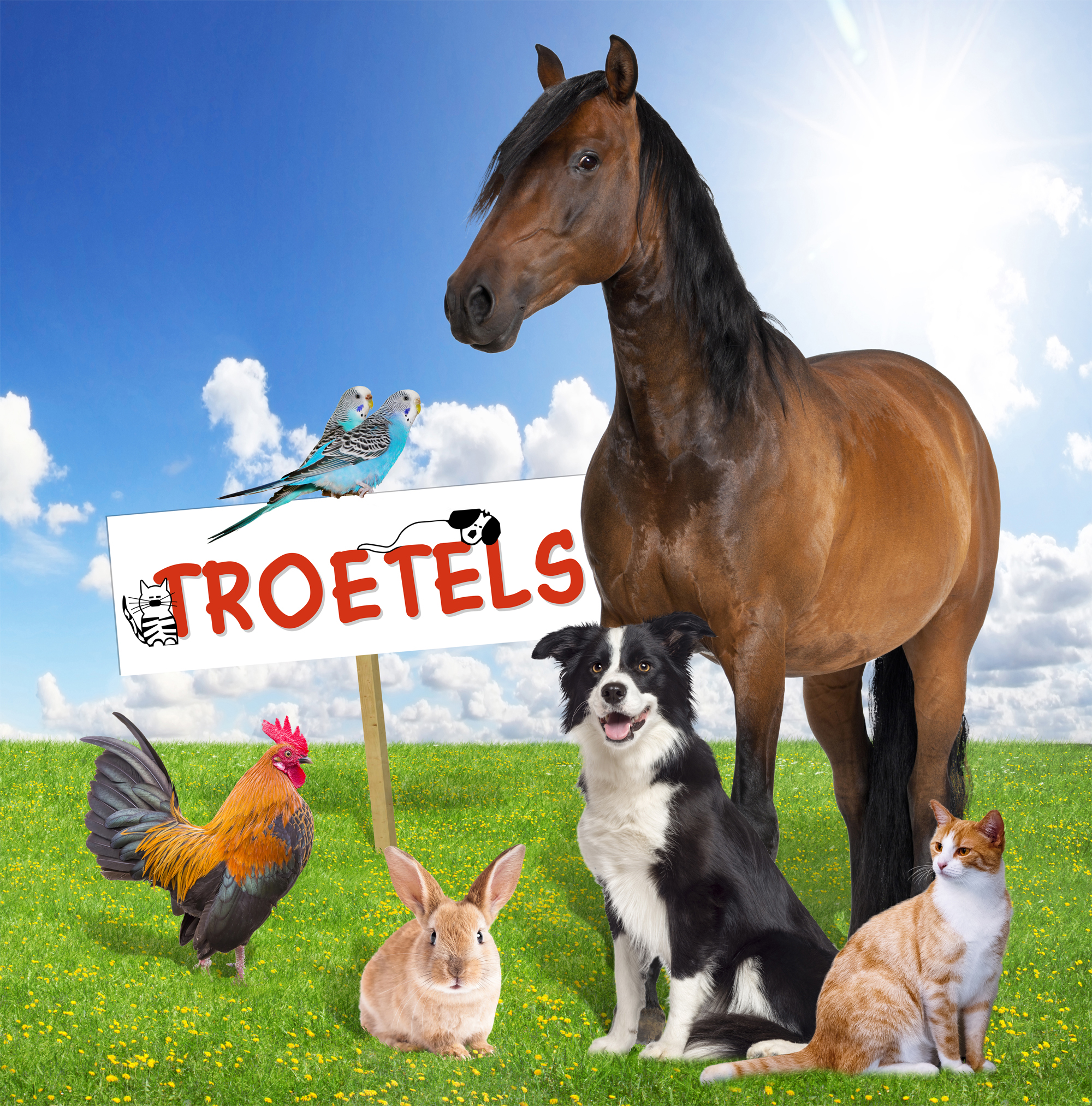 Troetels Dierenspeciaalzaak Ramsel